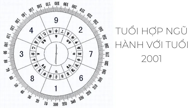 Chọn tuổi hợp làm ăn với 2001 để làm ăn phát đạt