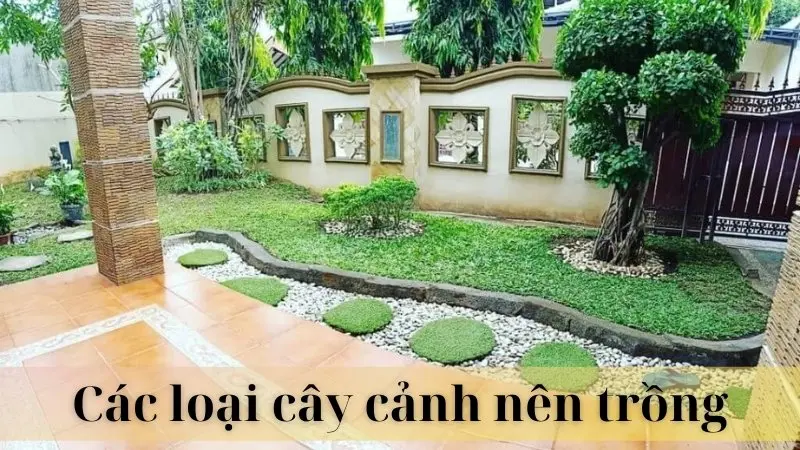 Bố trí nhà vệ sinh 04