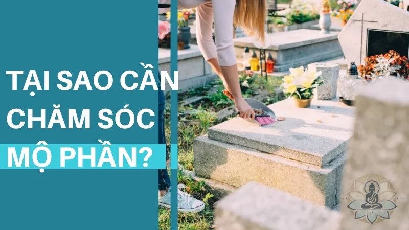 Hướng dẫn chăm sóc mộ phần và những điều cần tránh khi chăm sóc 