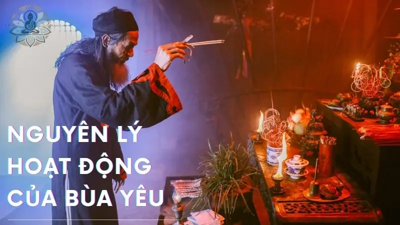 Nguyên lý hoạt động của bùa yêu