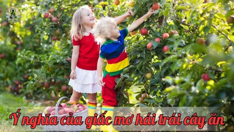 Ý nghĩa của giấc mơ hái trái cây ăn