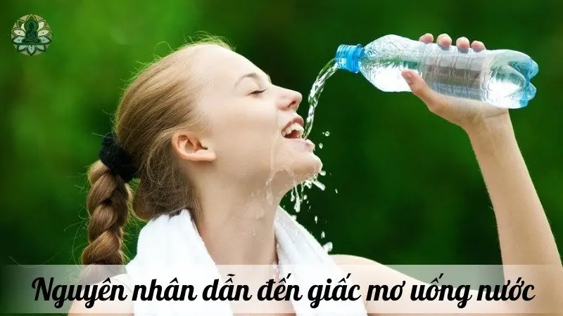 Nguyên nhân dẫn đến giấc mơ uống nước