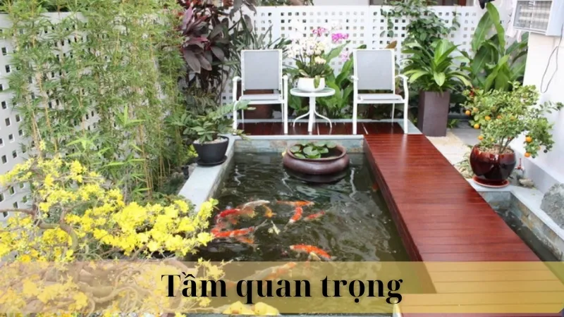 Vị trí đặt hồ cá ngoài sân 02