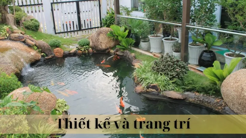 Vị trí đặt hồ cá ngoài sân 04