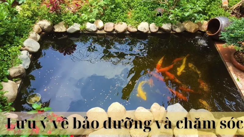 Vị trí đặt hồ cá ngoài sân 06