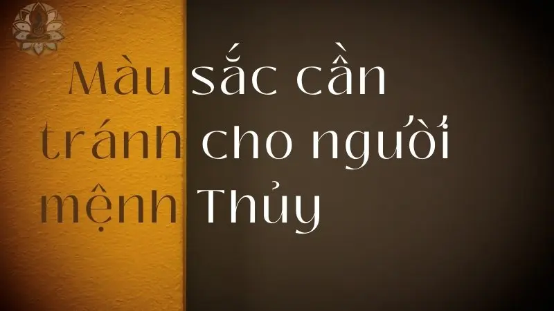 Màu sắc cần tránh cho người mệnh Thủy