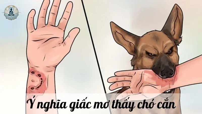 Ý nghĩa giấc mơ thấy chó cắn