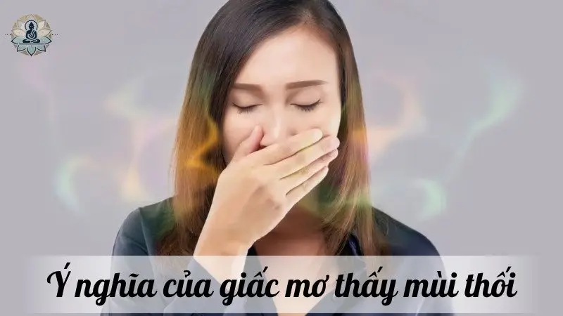 Ý nghĩa của giấc mơ