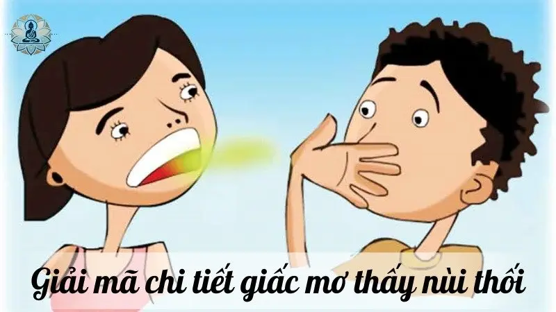 Giải mã chi tiết giấc mơ