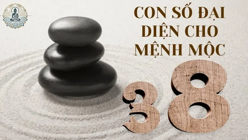 Con số đại diện cho Mộc: 3, 8