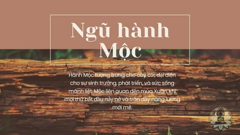 Ngũ hành Mộc