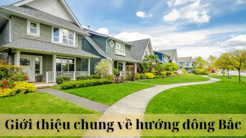 Nhà hướng đông bắc hợp tuổi gì 02