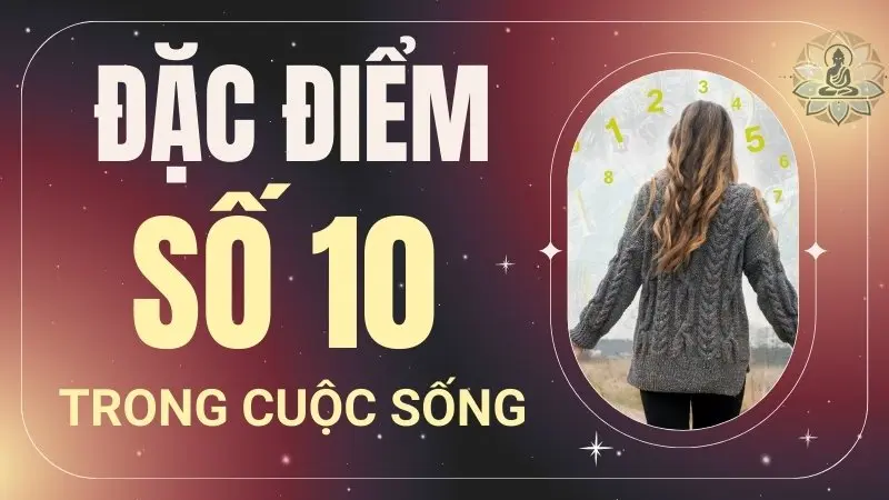 Số chủ đạo 10 hợp với số nào trong tình duyên và sự nghiệp