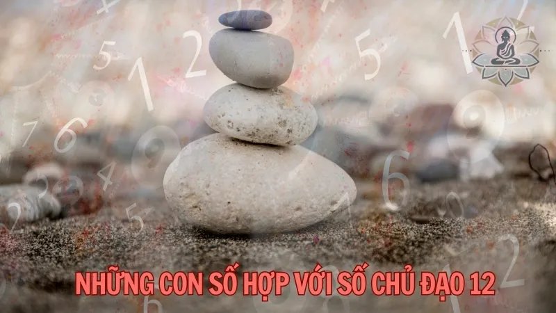 Những con số hợp với số chủ đạo 12