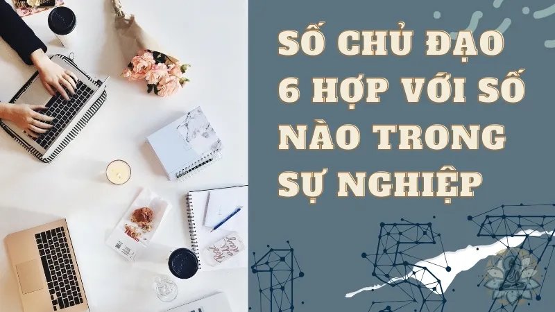 Số chủ đạo 6 hợp với số nào? Bí quyết tìm kiếm hạnh phúc và thành công