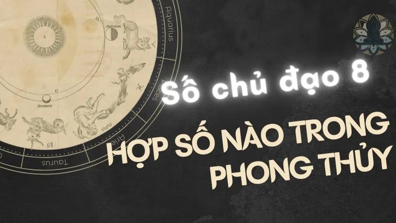 Số chủ đạo 8 hợp với số nào? Mối quan hệ hoàn hảo cho tình yêu và công việc