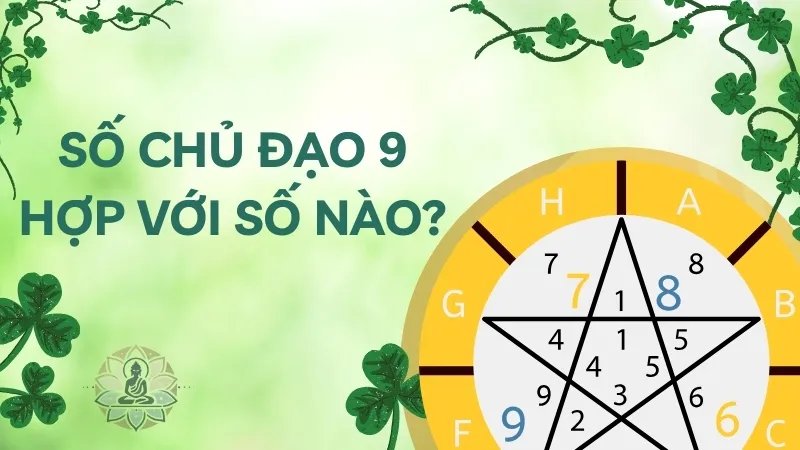 Số chủ đạo 9 hợp với số nào? Cách áp dụng để thành công