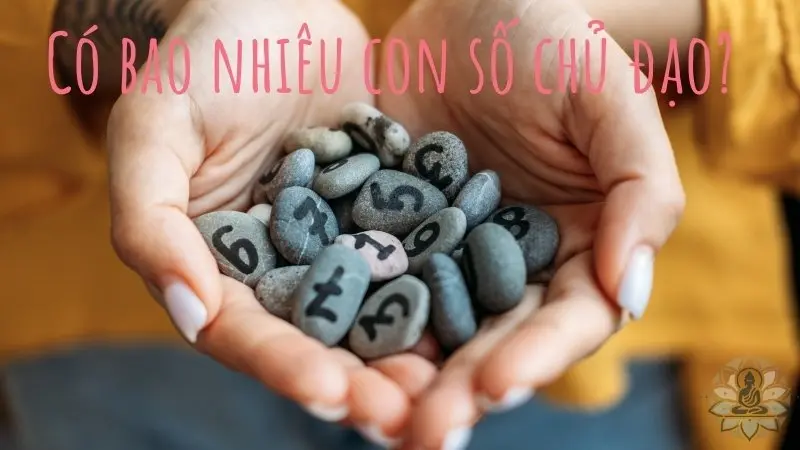 Có bao nhiêu con số chủ đạo?