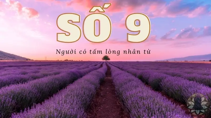 Số 8: Mạnh mẽ và tham vọng