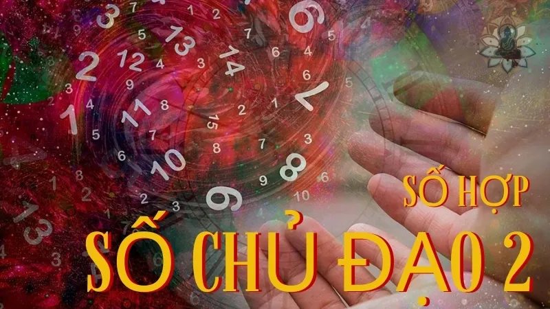 Số hợp với số chủ đạo số 2