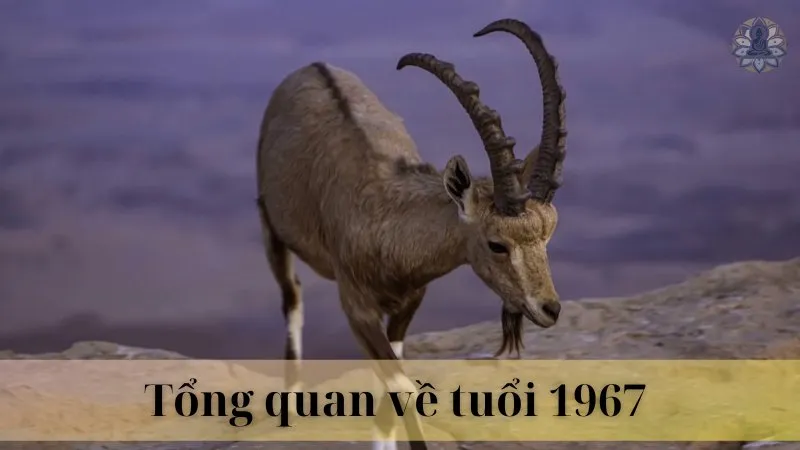 Tuổi 1967 hợp làm ăn với tuổi nào 03