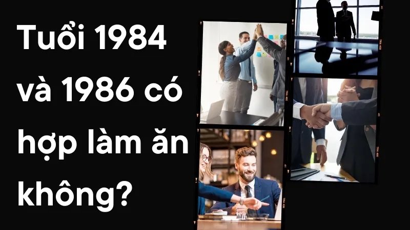 1984 và 1986 hợp làm ăn không? Phân tích chi tiết ngũ hành