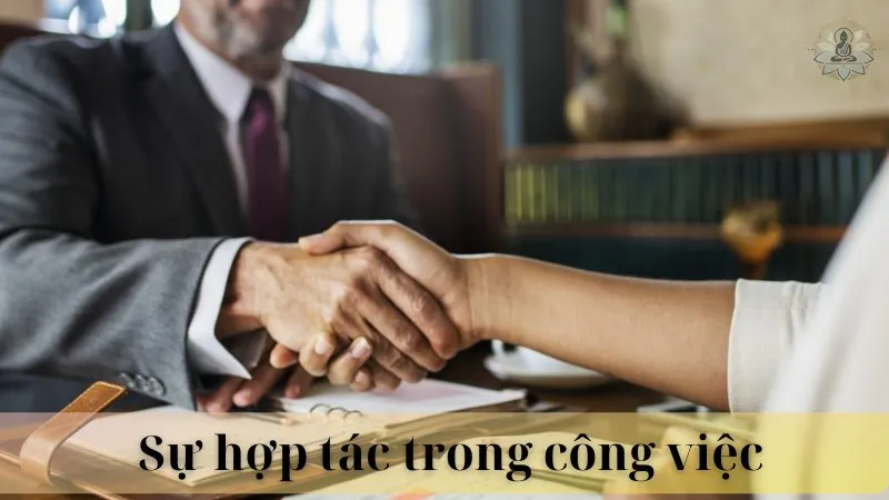 Tuổi mão và tuổi ngọ có hợp làm ăn không 09