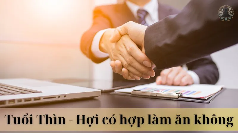 Tuổi thìn và tuổi hợi có hợp làm ăn không 11