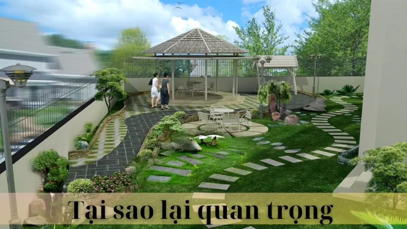 Vị trí đặt cây hợp phong thủy 01