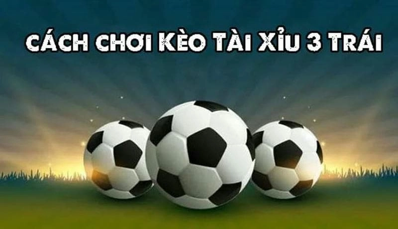 Mẹo chơi Tài Xỉu 3 Trái hiệu quả dành cho người mới