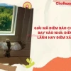 Chim Đen Bay Vào Nhà Là Điềm Gì? Giải Mã Ý Nghĩa Theo Phong Thủy