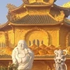 Chùa Dát Vàng Hưng Yên: Khám phá Vẻ Đẹp Tâm Linh Độc Đáo