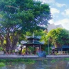 Chùa Diệu Pháp Bình Thạnh Nơi An Lạc Giữa Lòng Sài Gòn