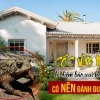 Cóc Vào Nhà Là Điềm Gì? Giải Mã Ý Nghĩa Theo Phong Thủy Và Khoa Học