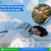 Giải Mã Giấc Mơ Thấy Rắn: Điềm Báo Tốt Lành Hay Xui Xẻo Cho Bạn?