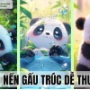 Khám phá ngay bộ sưu tập ảnh nền avatar gấu cute độc đáo 2026