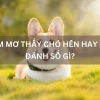 Nằm mơ thấy chó cắn là điềm gì và nên đánh con số nào?