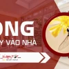 Ong bay quanh người là điềm gì? Giải mã ý nghĩa tâm linh chi tiết