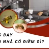 Ong vào nhà có điềm gì? Giải mã ý nghĩa tâm linh chi tiết nhất 2026