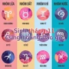 Tháng 11 là cung gì? Khám phá trọn bộ tính cách và vận mệnh