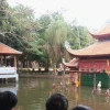 Thủy Đình Tràng An: Khám Phá Kiến Trúc Độc Đáo và Lễ Hội Sôi Động