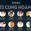 Tử Vi 12 Cung Hoàng Đạo Tuần Này: Dự Báo Chi Tiết Cho Năm 2026