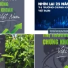 Hành trình phát triển và lịch sử thị trường chứng khoán Việt Nam