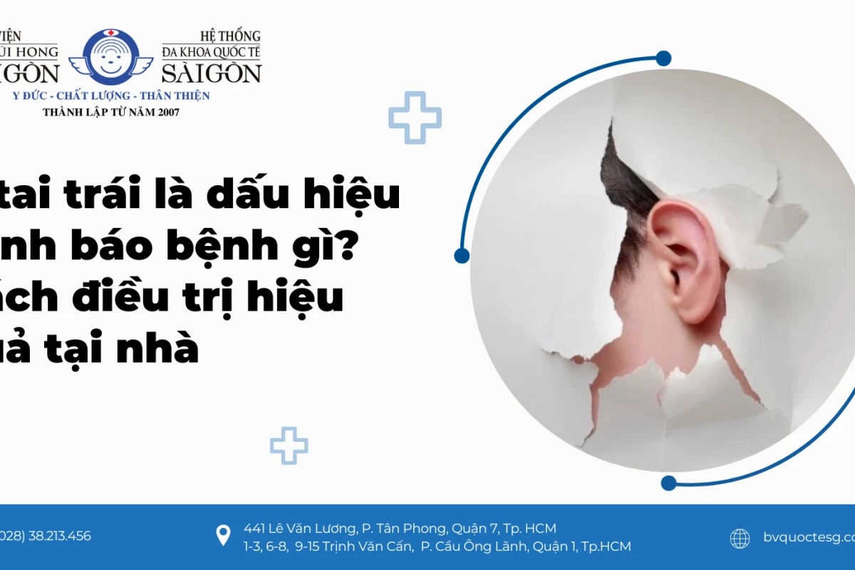 Ù Tai Trái Điềm Gì Giải Mã Theo Giờ Và Ý Nghĩa Sức Khỏe Năm 2026