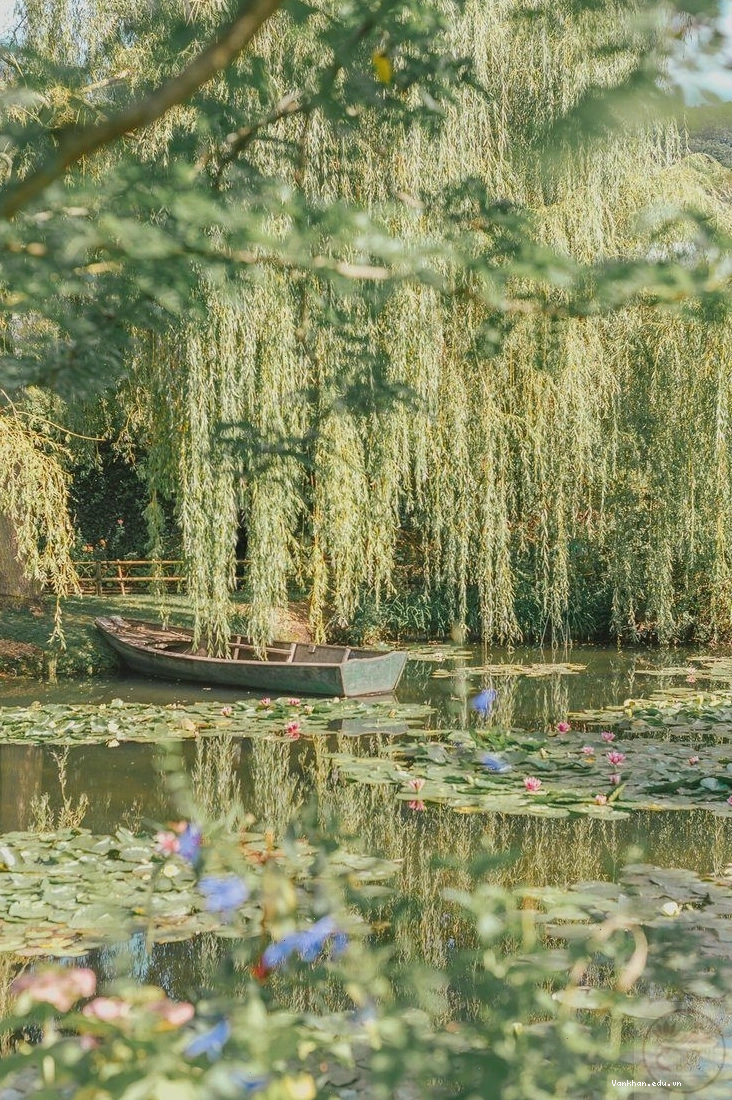 Ảnh phong cảnh thiên nhiên hùng vĩ với núi non trùng điệp và mây trắng