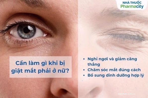Biểu đồ các nguyên nhân gây giật mắt