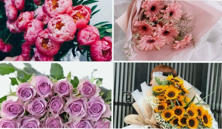 Các loại hoa đẹp tặng ngày 20 tháng 10