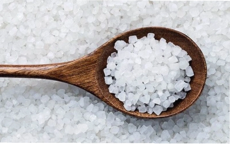 Cách đuổi mèo hoang vào nhà hiệu quả