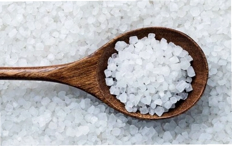 Cách đuổi mèo hoang vào nhà hóa giải điềm xấu
