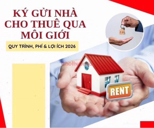 Cách ứng xử khi chó lạ vào nhà